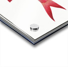 Jaguar Bodianus pentacanthus Acrylic print