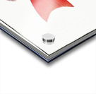 Vosmars Grunt Anthias Vosmeri Acrylic print