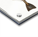 Whiting Gadus Merlangus Impression Acrylique