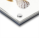 Merra Epinephelus Merra Acrylic print