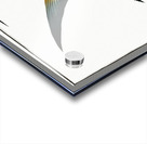 Chaetodon rhomboides Acrylic print