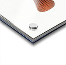 Nose-Trunk Ostracion Nasus Acrylic print