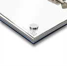 1. Butterfly-fish Blennius ocellaris 2. Blennius Gattorugine Acrylic print