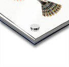 Father Lascher Cottus Scorpius Acrylic print