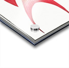 Red Grunt Anthias Sacer Acrylic print