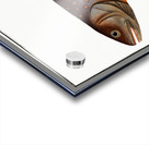 Salveling Salmo Salvelinus Acrylic print