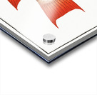 Sea Boar Lutianus Vrres Acrylic print