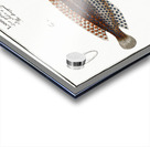 1. Rainbow-fish Labrus Julis 2. Dropped Wrasse Labrus Guttatus Acrylic print