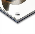 Sun-fish Diodon Mola Acrylic print