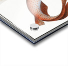 Lesser Rough Flound Squalus Catulus Acrylic print