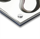 Eel Muraena Anguilla Acrylic print