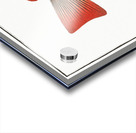 Red-fin Lutjanus erythropterus Acrylic print