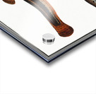 1. Muddy-Loach Cobitis Fossilis 2. Ribban-Loach Cobitis Taenia 3. Bearded-Loach Cobitis Bartula Acrylic print