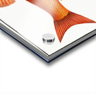 Orf Cyprnus Orfus Impression Acrylique