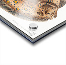 Argus-Flounder Pleuronectes Argus Acrylic print