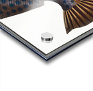 Long File-Fish Balistes maculatus Acrylic print