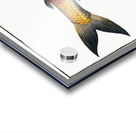 Tumbil Salmo Tumbil Acrylic print