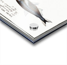 1. Capelan Salmo groenlandicus 2. Tail-spotted Salmon Salmo melanurus 3. Curimate Salmo unimaculatus Acrylic print