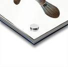 Turret-Porter Ostracion Turritus Acrylic print