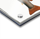 Charr Salmo Alpinus Acrylic print