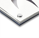 Gray Stromate Stromateus cinereus Acrylic print