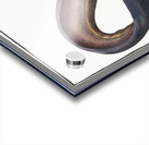 Electric-Eel Gymnotus Electricus Impression Acrylique