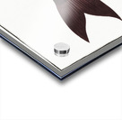 Fringed Carp Cymbrinus fimbriatus Acrylic print