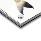 Streaked Salmon Salmo fasciatus Acrylic print