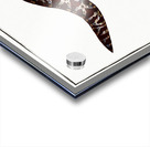 1. Chain-Fish Gymnothorax catenatus 2. Silver-Lamprey Petromyzon agrenteus Acrylic print