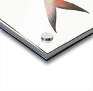 Green Mackrel Scomber Chloris Acrylic print