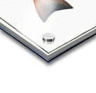 Punctulated Umber Sciaena punctata Acrylic print