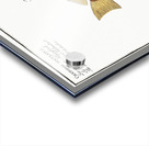 1. Sail Acanthurus Velifer 2. Maculated Chetodon Chaetodon maculatus Acrylic print