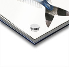 Pilote-Fish Scomber Ductor Impression Acrylique