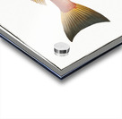 Pine-bough Trigla Pini Acrylic print