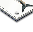 Tunny Scomber Thynnus Acrylic print