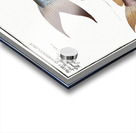 1. Knotty Silure Silurus Nodosus 2. Four spotted Silure Silurus Quadrimaculatus Acrylic print