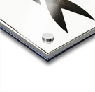 Negro-Mackrel Scomber niger Acrylic print