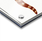 Netting Bare-Breast Gymnothorax reticulatus Acrylic print