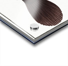 Smooth old Wife Balistes laevis Acrylic print