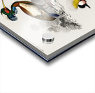 Different types of birds Acrylic print