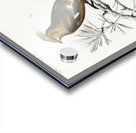 Different types of birds Acrylic print