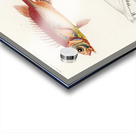 Different types of fishes Acrylic print