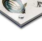 Different types of fishes Acrylic print