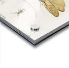 Different types of insects Acrylic print