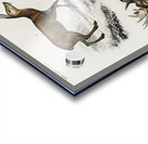 Different types of insects Acrylic print