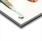 Different types of fishes Acrylic print