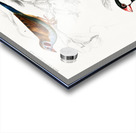 Red-cheeked Cordonbleu Uraeginthus Bengalus and Java Sparrow Lonchura Oryzivora Acrylic print