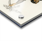 Vintage monkey poster Acrylic print