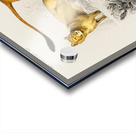 Lion Panthera Leo Acrylic print