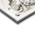 Pygmy anteater Cyclopes didactylus and Giant anteater Myrmecophaga tridactyla Acrylic print